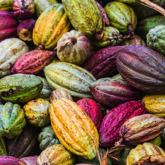 Cocoa Butter, Unrefined, Organic, Fair Trade