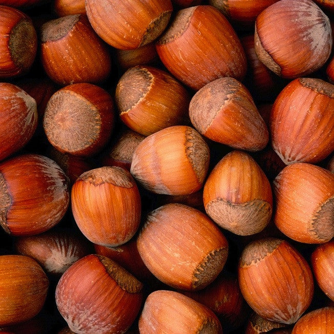 TIMELESS Premium Refined Hazelnut Oil, best for treatment of scars