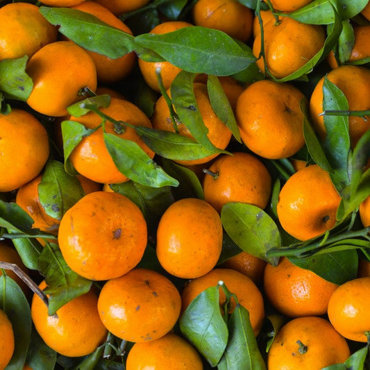 Mandarin, Red