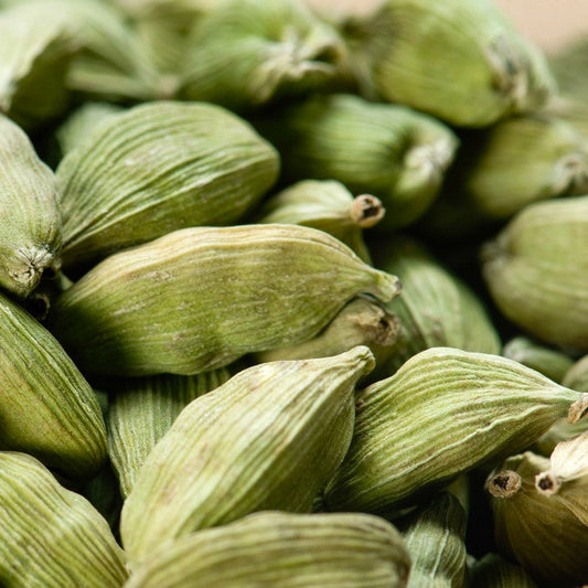 Cardamom