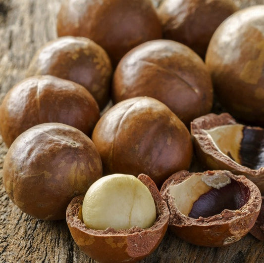 Macadamia, Organic